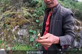 老爹摘来母猪藤，和隔山消一起放锅头炒熟，老妈吃出豌朝巅的味道视频封面