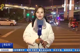 举报有红包！这些交通违法举报被采用均设奖励，最高能奖励1万多视频封面
