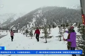 云南德钦 白马雪山突降大雪 游客一下子从夏天穿越到冬天视频封面