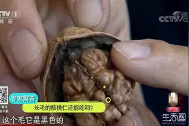 生活圈：核桃营养价值丰富，但吃不对可能会致癌，咋回事？来看下视频封面