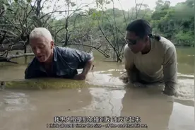 影视：巨骨舌鱼世界上最大的淡水鱼之一，你钓到了你打算这么处理视频封面