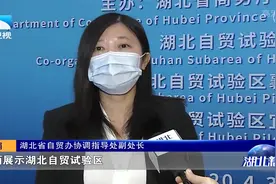 关注！湖北自贸区云招商推介会将29日-30日举行，长江云全程直播视频封面
