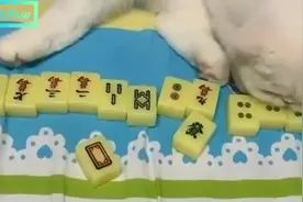 《每日一笑》事实证明人无聊什么事都干得出来