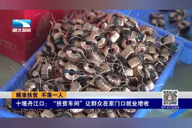 家门口就能挣钱！十堰丹江口“扶贫车间”让群众在家门口就业增收视频封面