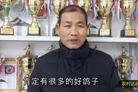 天落到底能不能做种鸽？我们该如何挑选利用好的天落视频封面