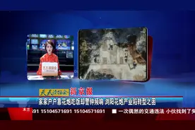 家家户户靠花炮吃饭却警钟频响 浏阳花炮产业陷转型之困视频封面