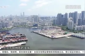 深圳湾海域出现赤潮 延绵6平方千米视频封面
