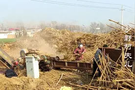 农村发现新型致富项目，大叔靠1台机器办厂，把烂秸秆变废为宝！视频封面