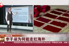 引共鸣！“李子柒为何能走红海外”成热搜，光明日报发表评论