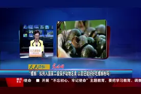 “螺蛳”拟列入国家二级保护动物名录 以后还能好好吃螺蛳粉吗？视频封面