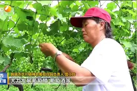 坚持新发展理念 决胜全面建成小康社会视频封面