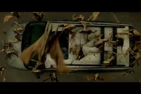 影视；死寂逃逸，蝙蝠变异，没有网络，人类失聪该如何对抗视频封面