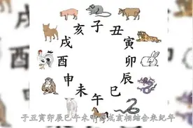 十二生肖是从何而来的？为何有人说十二生肖是来自印度？视频封面