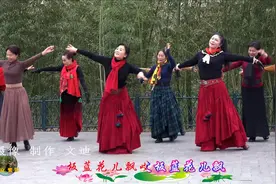 紫竹院广场舞《板蓝花儿开》，郁闷烦恼一扫而光！视频封面