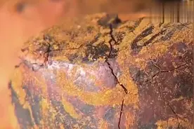 土豪出价50万想买一头牛，只因牛肚里的东西太珍贵！视频封面
