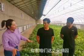 内蒙古棚室经济！大棚里种植有机水果蔬菜，能观光又能采摘视频封面