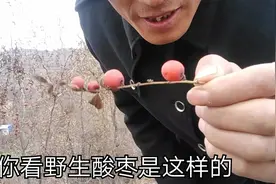 小靳想用野生酸枣核制作手链视频封面