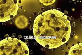 武汉不明原因肺炎病原体：新型冠状病毒！科普一下，它是什么？视频封面