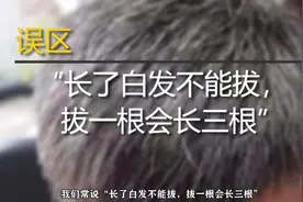 科学解疑人为什么张白发及白发变黑的误区视频封面