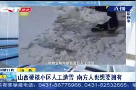 山西一小区人工造雪，这里的业主太幸福！网友：硬核物业！视频封面