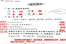 又来啦！四下语文课堂作业本讲评——四园地，关注更好找，谢点评视频封面