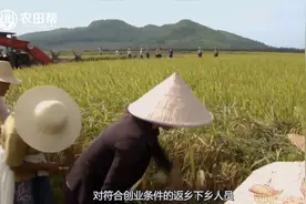 农民回乡创业，国家政府有哪些扶持政策？视频封面