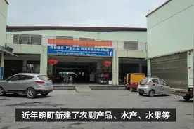 云南中缅边境畹町，特别的边民互市农副产品市场，严控下的现状视频封面