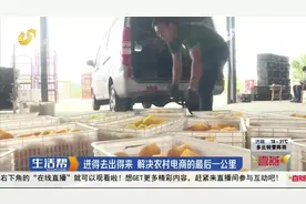 助推农副产品销售，打通农村电商最后一公里，看临沂“米云模式”视频封面