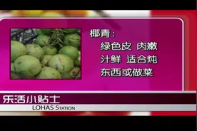 椰青和椰皇有什么区别？听完这一条，不要再傻傻分不清！视频封面