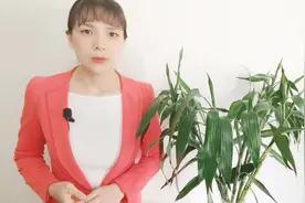 职场中求人办事，学会说这三句客套话，领导也会主动帮你视频封面
