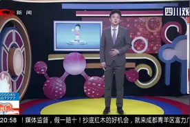 小伙收养小猫 午休呼噜震天响 惊动同在睡觉的小猫 已忍无可忍视频封面