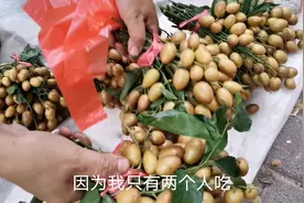 饥食荔枝，饱食黄皮，广西人和广东人爱吃的黄皮是什么样的水果视频封面