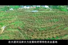 500个地理标志产品背后的故事（四川篇）视频封面