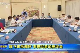 陈飞来岳调研 李爱武参加座谈会视频封面