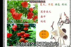 《我的植物朋友》写作文到底是思维导图好还是列提纲好呢？视频封面