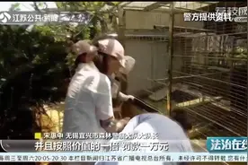 笼子里装了猕猴、孔雀、黑天鹅！宜兴：驯养野生动物？违法！视频封面
