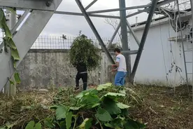 禽兽啊，你们都干了些啥，多少钱一个月？2000+100 吗？视频封面