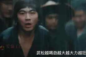 乱世之中人命如草芥，豪杰受人之托万死不辞，打虎放虎与虎为伴视频封面