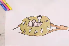 鸟窝怎么画视频封面
