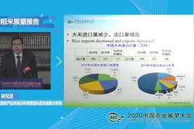 2020中国农业展望大会—中国稻米展望报告视频封面