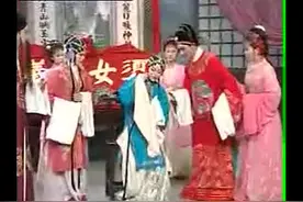 【黄梅戏】全本《双玉蝉》李文 梅院军主演视频封面