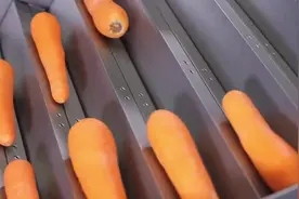 这机器硬是把胡萝卜削皮整出了仪式感。视频封面