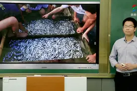 初一地理(中图版)《长江中下游平原第一课时》视频封面