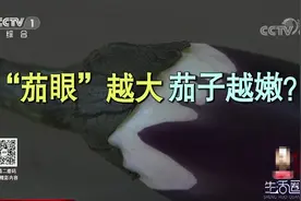 生活圈：茄子嫩不嫩，要看“眼睛”大不大，专家分享诀窍，快收藏视频封面