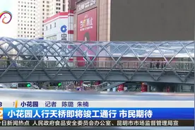小花园人行天桥即将通行 市民万分期待视频封面