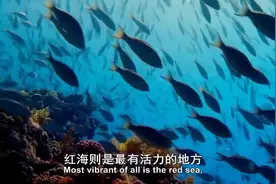 每天地球上超过一万亿吨水被蒸发视频封面