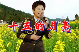 重温经典，董文华《十五的月亮》怀旧金曲，超级好听！视频封面