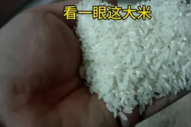 疫情期间，东北五常大米滞销，这可怎么办啊视频封面