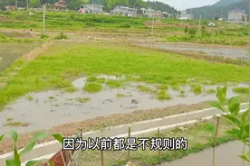 别再丢荒农田了，农民长期撂荒会被回收，农田改造提高耕地利用率视频封面