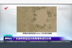 广东首株新型冠状病毒毒株成功分离视频封面